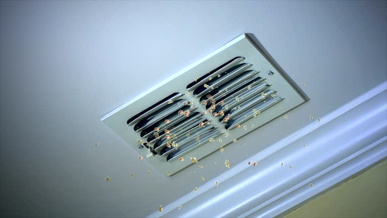Air Duct Mold Removal in Meadview, AZ