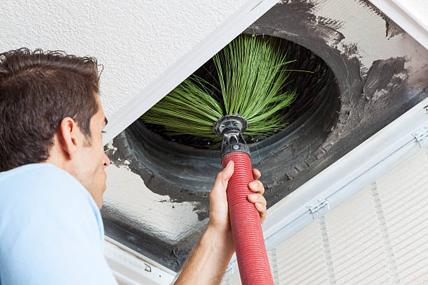 Best Air Quality Test  in Meadview, AZ