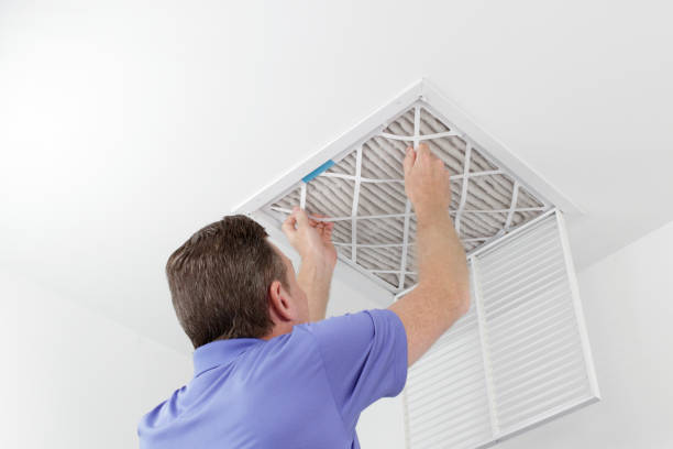 Best Best Air Duct Cleaning Near Me  in Meadview, AZ
